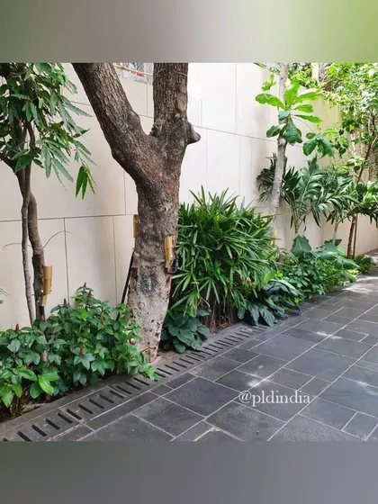 A simple stone path runs alongside a building, bordered by a line of trees and shrubs. This green buffer provides privacy for the ground floor windows and creates a pleasant walkway.
