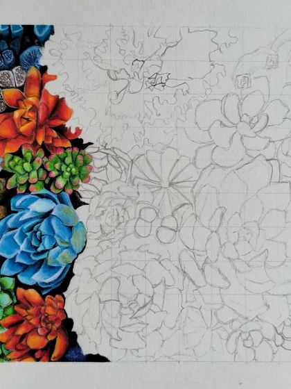 The full A4 view of the first stage of the succulent drawing.