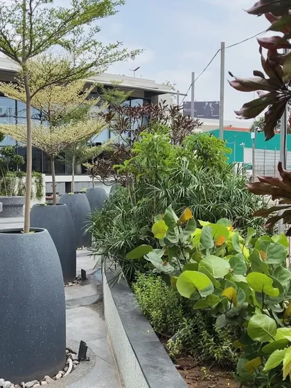 A mix of foliage textures and colors in the planter beds at the 'Stripe Play' site. The design uses a diverse and sustainable planting palette to ensure year-round interest.