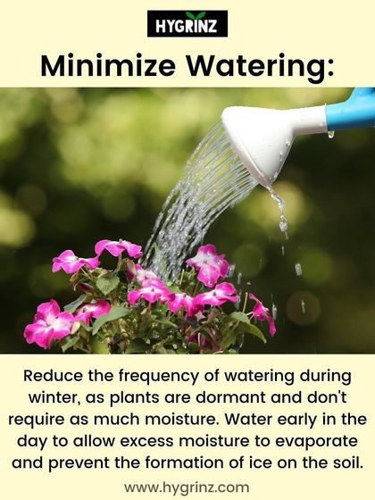 Hygrinz - Garden Maintenance Gardening Know-How: Tips & Techniques photo 11