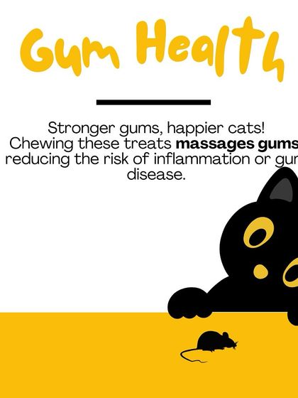 Oh My Dawg - Pet Supplies Grooming & Hygiene photo 8