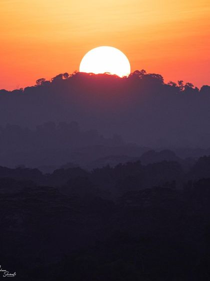 A little different from my usual wildlife photos, this is a minimalist landscape of a sunset in Singapore. The image focuses on the layers of the hills in silhouette and the powerful shape of the sun dipping behind the clouds.