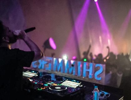 The Live Show Experience photo 31