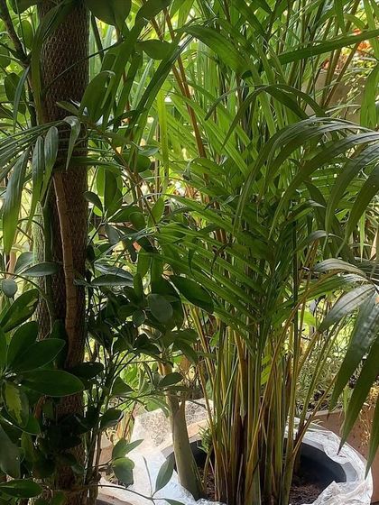 Behind the Scenes photo 4