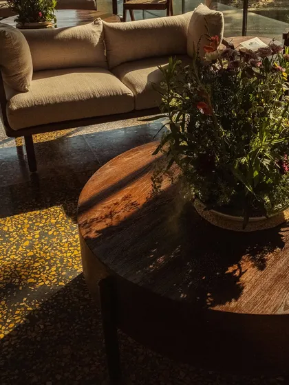 Dappled sunlight falls across the terrazzo floor and a modern sofa in our lounge, a perfect spot for an afternoon pause.