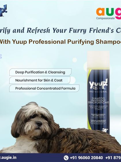 Augie Pets - Pet Grooming Services Shampoos & Conditioners for Every Coat photo 16