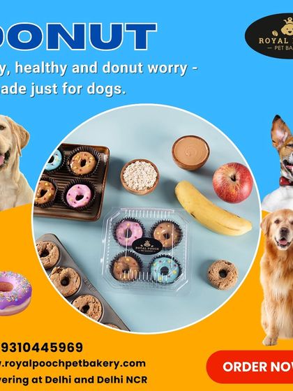 My dog-friendly donuts are fluffy, healthy, and made with natural ingredients. This image shows a variety of happy dogs, all excited for a chance to get one of these colorful treats.