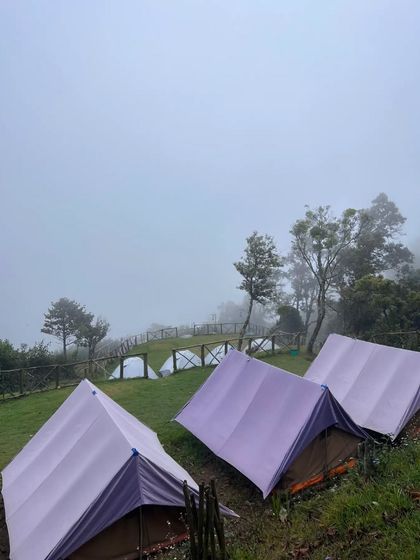 Tents pitched on a foggy day at the Munnar campsite.