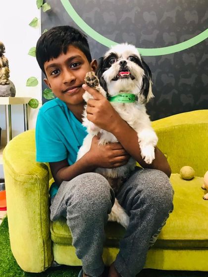 Tails of the City - Pet Grooming Our Happy Doggos photo 27