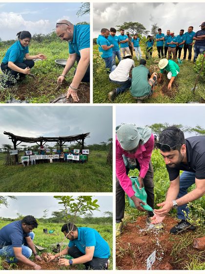 A collage of the Valvoline Cummins team planting native species like Bistendu, a vital tree that stabilizes soil and provides food for wildlife like porcupines and civets.