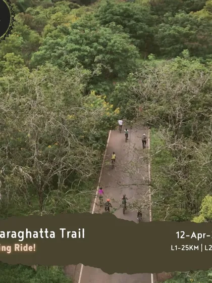 An aerial shot of cyclists on a tree-canopied road in Hesaraghatta. Our evening rides here are perfect for enjoying beautiful sunsets and cool breezes.