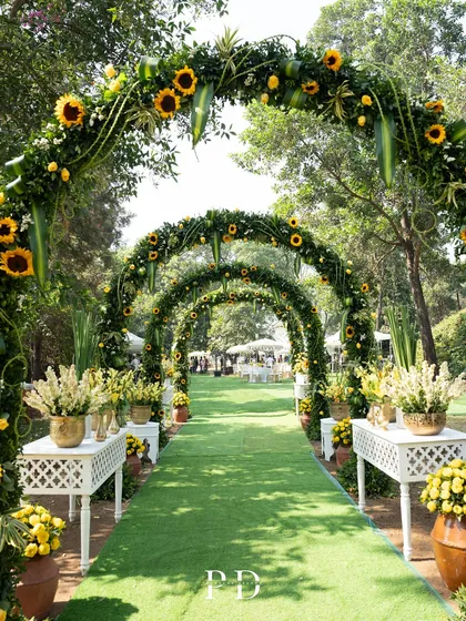 A pathway of dreams for a sun-kissed Haldi. We design immersive entrances like this series of sunflower arches to build excitement and create a stunning, poetic welcome for you and your guests.