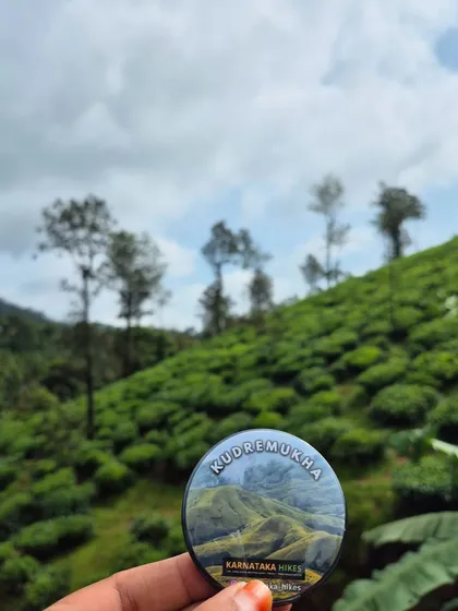 A close-up of our Kudremukha badge against the backdrop of a tea estate, capturing the essence of the region.