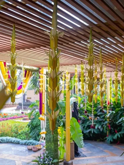 A perspective shot through the hanging palm leaf decorations, creating a unique visual frame.