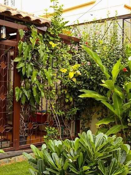 Firm Terra Architects - Residential Architecture Artisanal Craftsmanship & Details photo 8