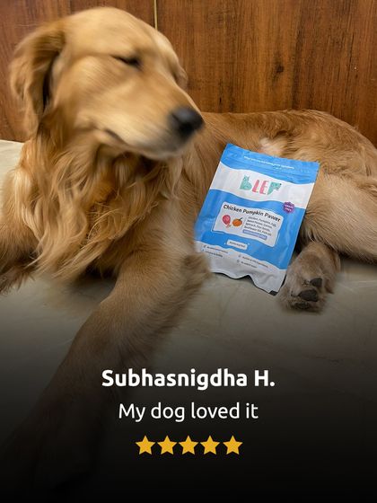 "My dog loved it." A simple but powerful five-star review from Subhasnigdha H. and her happy golden retriever. Real stories and real love from our growing family.