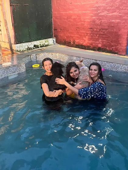 A beautiful moment from a birthday bash in our pool. We love seeing owners and their friends celebrating these special milestones with their furry family members.