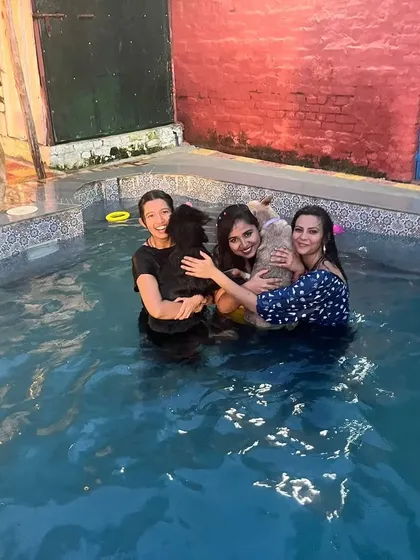 A beautiful moment from a birthday bash in our pool. We love seeing owners and their friends celebrating these special milestones with their furry family members.