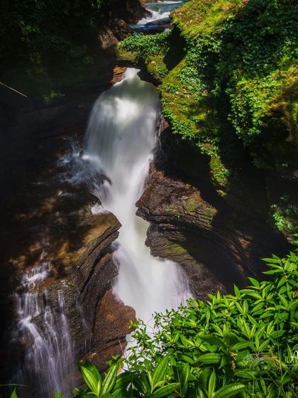 Miles To Trek - Guided Trekking Expeditions Himalayan Expeditions photo 23