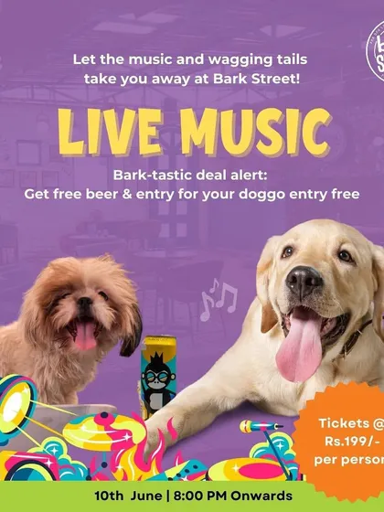 Let the music and wagging tails take you away at Bark Street! A bark-tastic deal with free beer.
