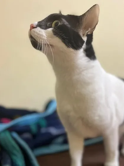 Rustom posing like the handsome gentleman he is.