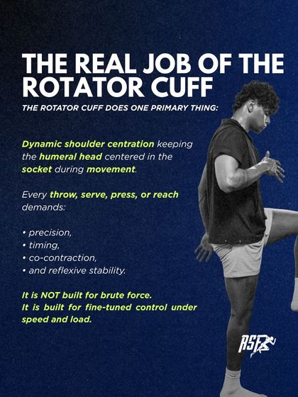 Shoulder Health & Rotator Cuff Function photo 10