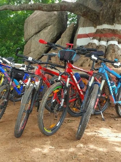 A lineup of colorful mountain bikes parked under a tree, ready for the trail.