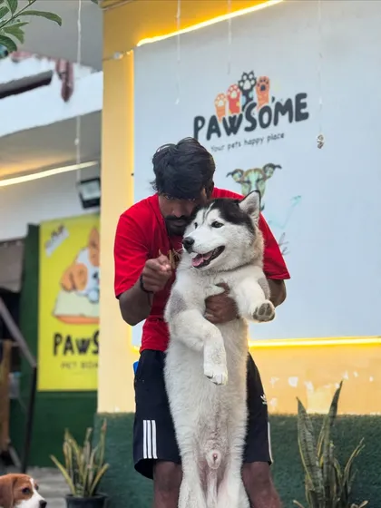 A moment of connection with one of our Husky guests. I take the time to bond with every dog that stays with us.
