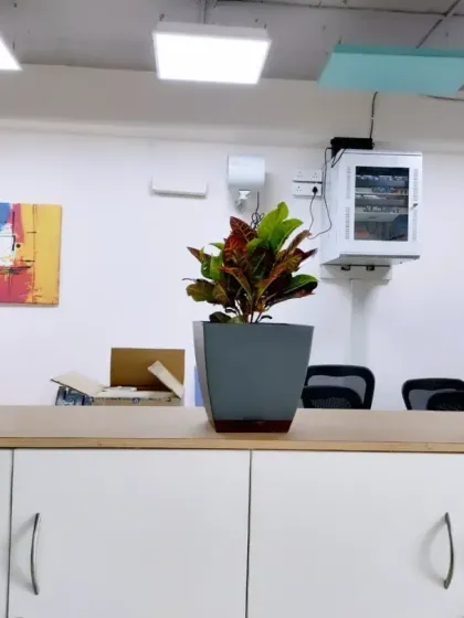 Three distinct plants in colorful planters on an office cabinet. This setup demonstrates how we can add personality and color to a neutral office space with the right plant and pot combinations.