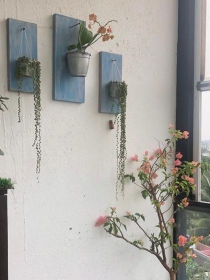 Another creative wall decor idea. These trailing succulents mounted on blue wooden plaques add a rustic, beachy vibe to this balcony, complementing the view and the bougainvillea.