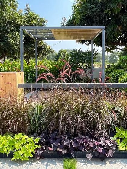 A bouquet of greens at 'Tranquil Mango Haven'. This image highlights the rich variety in my planting palette, with different shades, shapes, and textures of foliage creating a lush and vibrant garden bed.