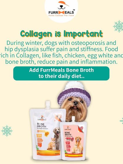 Collagen is crucial, especially in winter when joint stiffness can increase. My bone broth is a natural source of collagen, which helps reduce pain and inflammation for dogs with conditions like osteoporosis and hip dysplasia.