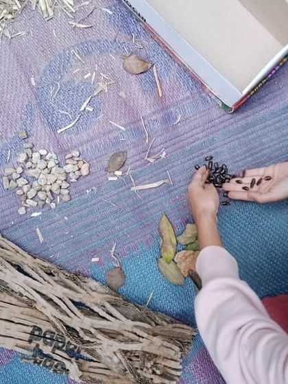 The Earth School - Montessori Primary & Elementary Program Hands-On Science & Nature Study photo 38