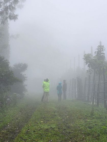 A group of adventurers exploring a trail shrouded in thick fog. Our Yercaud tour is a true escape into the wild, untouched beauty of the Eastern Ghats.