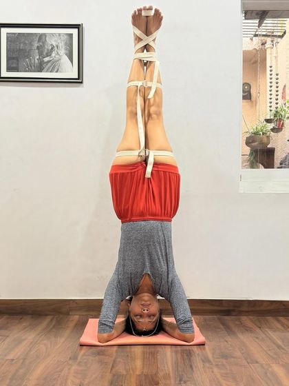 Here, belts are used in Sirsasana to teach the correct actions of the legs and pelvis. The belts provide resistance and feedback, helping to engage the inner thighs and maintain vertical alignment, which is essential for stability and lightness in the pose.