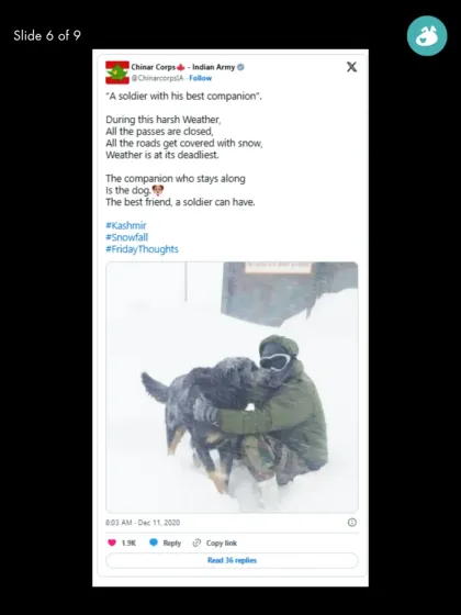 The Pack - Online Pet Parent Community A Voice for Every Dog photo 18