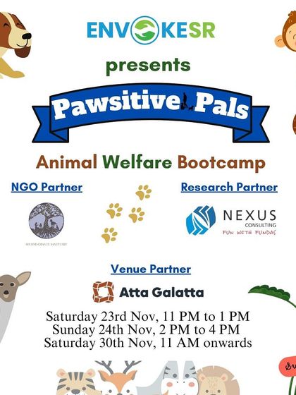 The main poster for the 'Pawsitive Pals' animal welfare bootcamp.