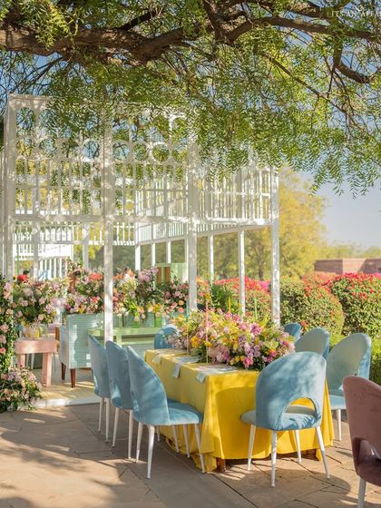 A dining area set under the shade of a tree, with a long table and modern blue chairs, offering a beautiful view of the palace gardens.