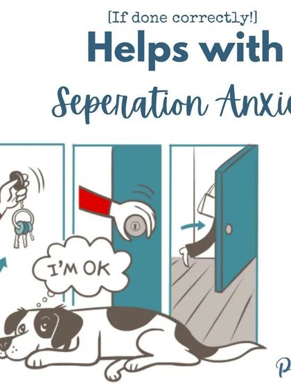 When done correctly, crate training is one of the best tools to help prevent or reduce separation anxiety. It teaches your dog that being alone is okay.