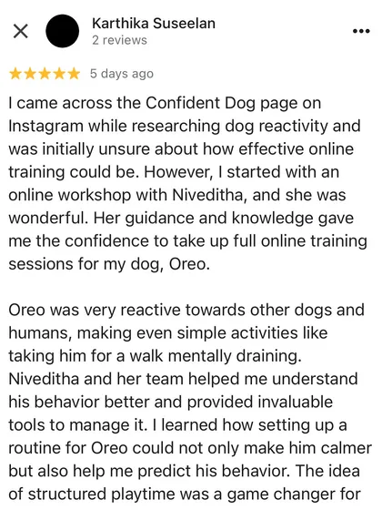 Many people are skeptical about online training, and I understand why. This review from Oreo's parent, who was initially unsure, shows the journey from doubt to confidence. It highlights how my online workshops and one-on-one sessions provide the guidance and knowledge needed to manage complex behaviors like reactivity.