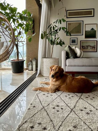 Weespaces - Full-Service Residential Interior Design Miscellaneous Projects & Details photo 20