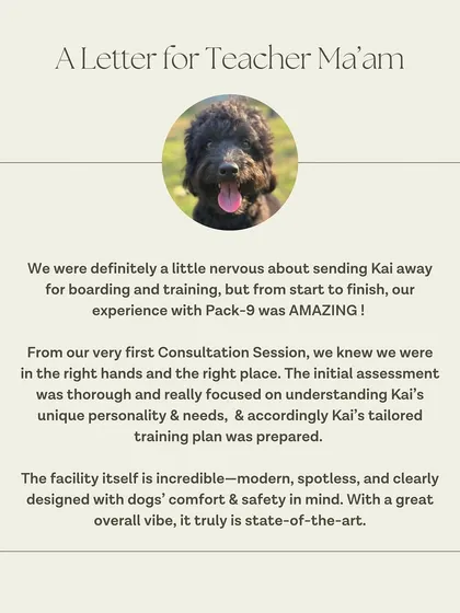 A testimonial from Kai's guardian about his amazing experience in our Board & Train program.