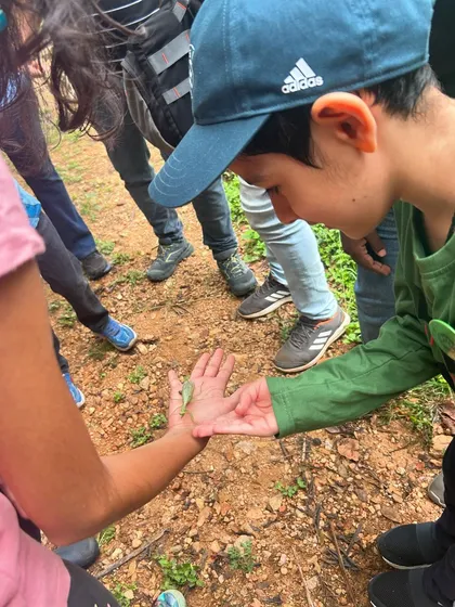 A child gently touches a green insect held in our naturalist's hand. These guided interactions help build confidence and a gentle respect for all living things.