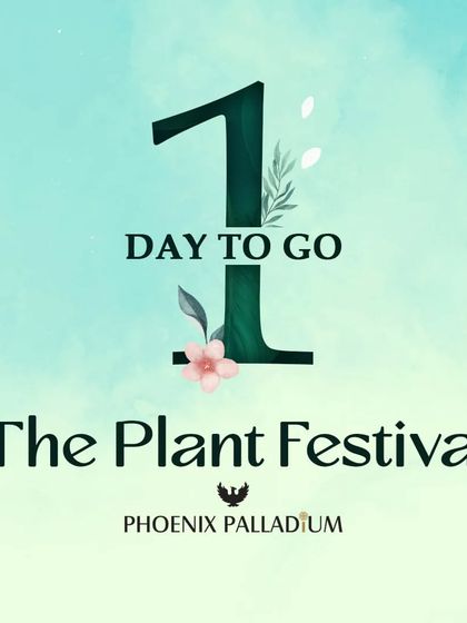 Our Journey and Recognition photo 5