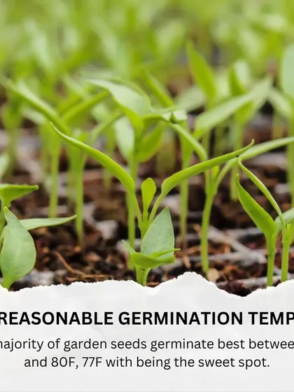 Tip 3: Maintain a reasonable germination temperature. Most of my garden seeds germinate best in a warm environment, which you can easily create on a sunny windowsill.