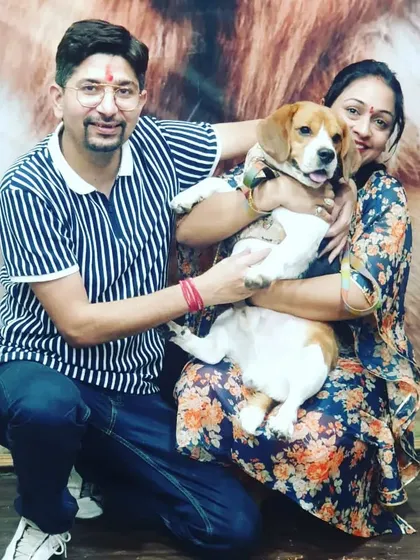 We love seeing happy families reunited after a grooming session. This photo captures the joy of a pet parent with their freshly groomed Beagle, Snoffy, looking smart and feeling comfortable in our Noida pet salon.