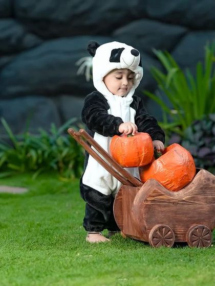 Baby's Day Out Studio - Kids & Baby Photography Creative Themed Setups photo 23