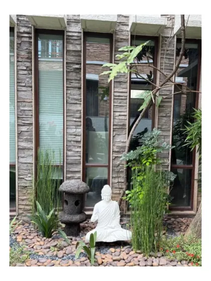 A meditation corner at Chaithanya Samarpan, featuring a Buddha statue set against a textured stone wall. The careful selection of vertical plants like bamboo and sansevieria adds to the zen-like quality of this tranquil space.