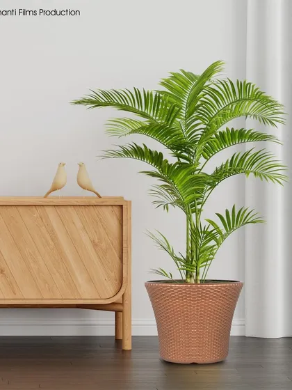 We create realistic lifestyle scenes for home decor products. This flower pot is placed in a well-lit, composed interior setting to showcase its aesthetic appeal in a natural environment.