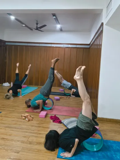 A fiery group of yogis exploring inversions with the help of yoga wheels. This shows how we can challenge ourselves and build strength in a supportive environment.